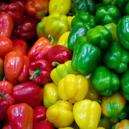 Colour Capsicum - Organic